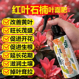 紅葉石楠專用肥料石楠樹營養(yǎng)液氮磷鉀有機肥盆栽種植土壤水溶化肥