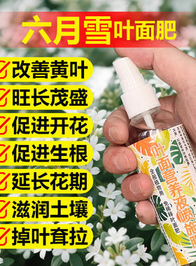 六月雪专用肥料盆景盆栽营养液叶子发黄掉叶发黑干枯萎蔫叶面肥料