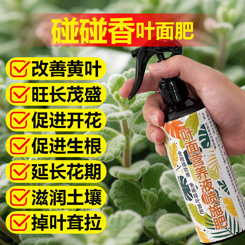 碰碰香老桩专用肥料水培土培多肉植物室内花卉营养液盆栽花肥肥料