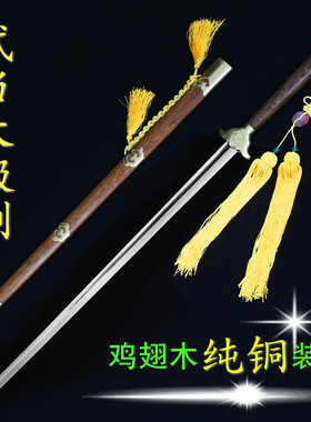 弘岳武当太极剑双手剑不锈钢软剑陈师行武术表演剑长柄剑未开刃