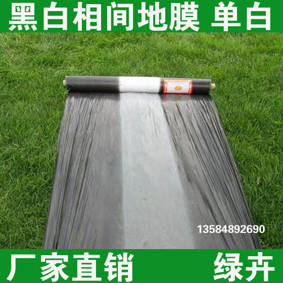 厂家直销农用黑白相间地膜除草膜白加黑塑料薄膜银黑双色反光地膜