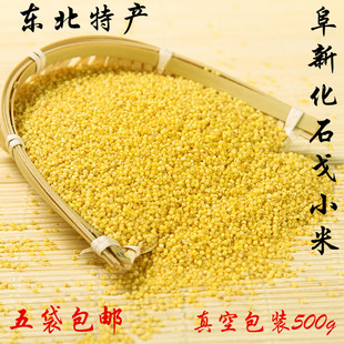 新米上市东北杂粮阜新化石戈2025年新小米5斤装包邮
