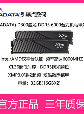 威刚(ADATA)威龙D30032G(16GX2)