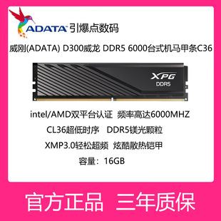 AData/威刚 D300威龙DDR5 6000频率内存条 台式机16G C36镁光颗粒