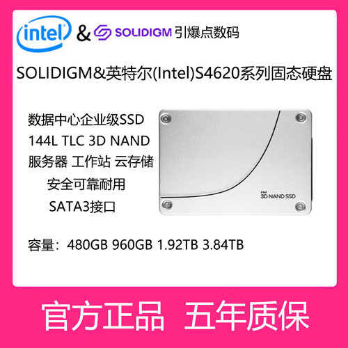 英特尔企业级固态硬盘SATA960G