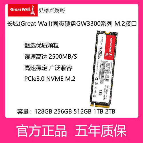 长城固态硬盘GW3300M.222801T