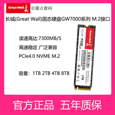 长城固态硬盘2280M.21T2T4T8T