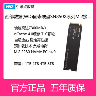 西部数据固态硬盘M.222801T2T