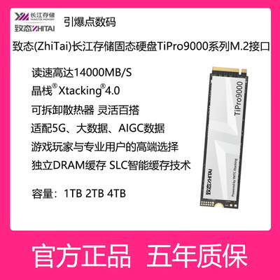 致态固态硬盘TiPro90001TM.2接口