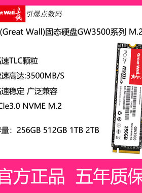 长城固态硬盘M.2接口256G512G