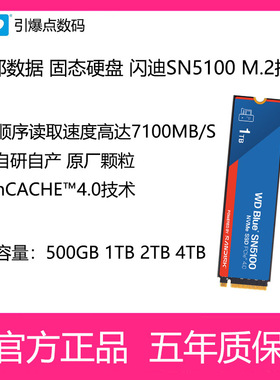 西部数据固态硬盘SN5100 2280 M.2 500G 1T 2T4TAI电脑笔记本蓝盘