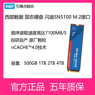 西部数据固态硬盘SN5100 500G M.2 2T4TAI电脑笔记本蓝盘 2280