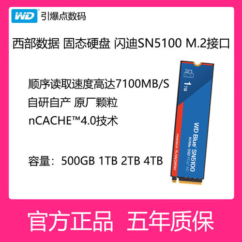 西部数据2280M.2闪迪SN51001T