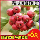 新鲜山楂大金星山里红果子应季 水果冰糖葫芦用2025新果批发五斤装