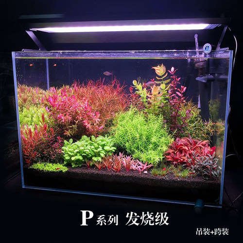 威尔康水草灯鱼缸植物灯盘P系列