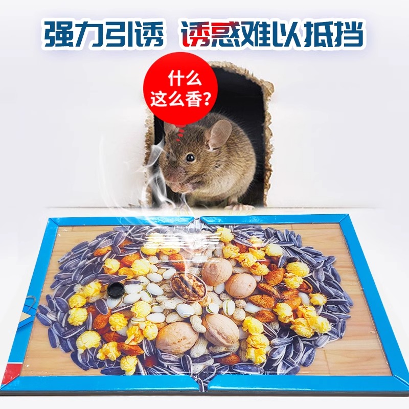 老鼠粘强力粘鼠板胶粘大老鼠贴餐厅家用室内正品扑捉器灭捕鼠神器