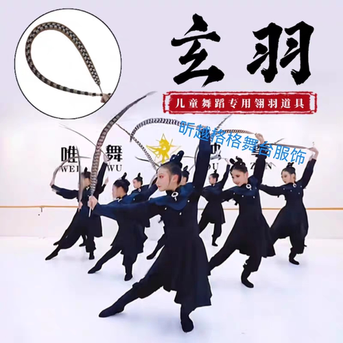 新款翎子玄羽戏曲中国风古典唯舞独尊舞蹈表演出服灵羽元旦群舞女