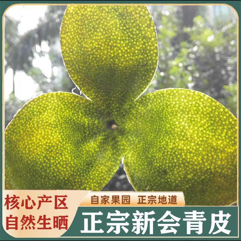 正宗茶坑原枝柑圈二红皮大红皮