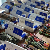 法国进口DMC纯棉绣线法国R线十字绣线欧绣绣花线447色任选ART117