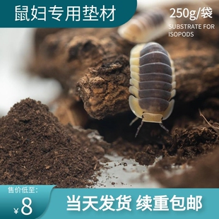 鼠妇垫材宠物鼠妇潮虫西瓜虫垫材腐殖土垫材土壤松散易挖掘250g