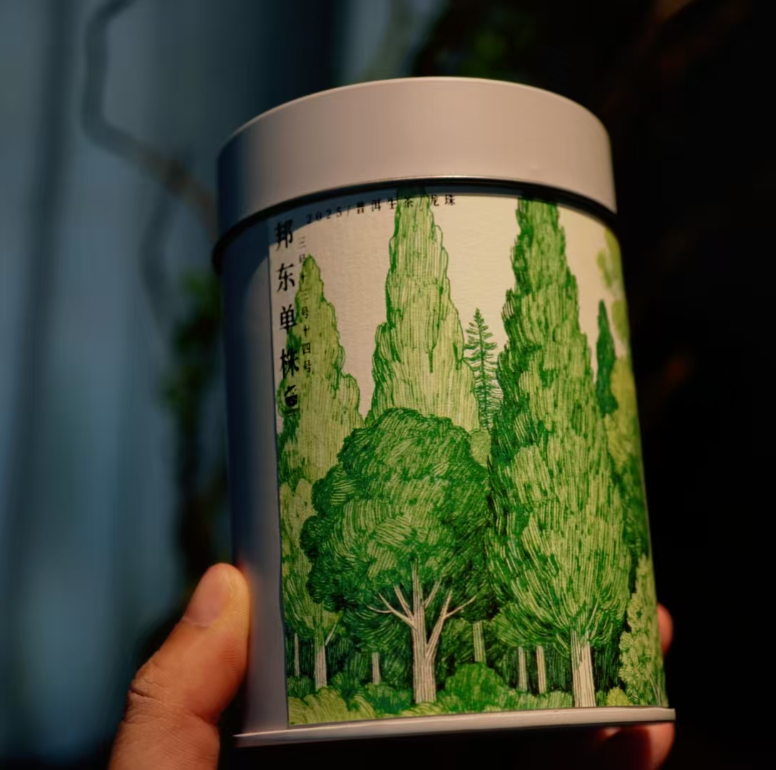 上新/普洱生茶/2025年邦东单株/3号13号14号/6克龙珠*20颗