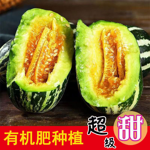 超甜博洋9甜瓜瓜园直采产地直供
