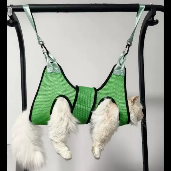 Товары от aihong0919