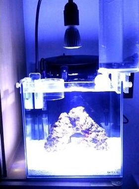 E27Led clamp light grow light gooseneck clamp fish tank lamp