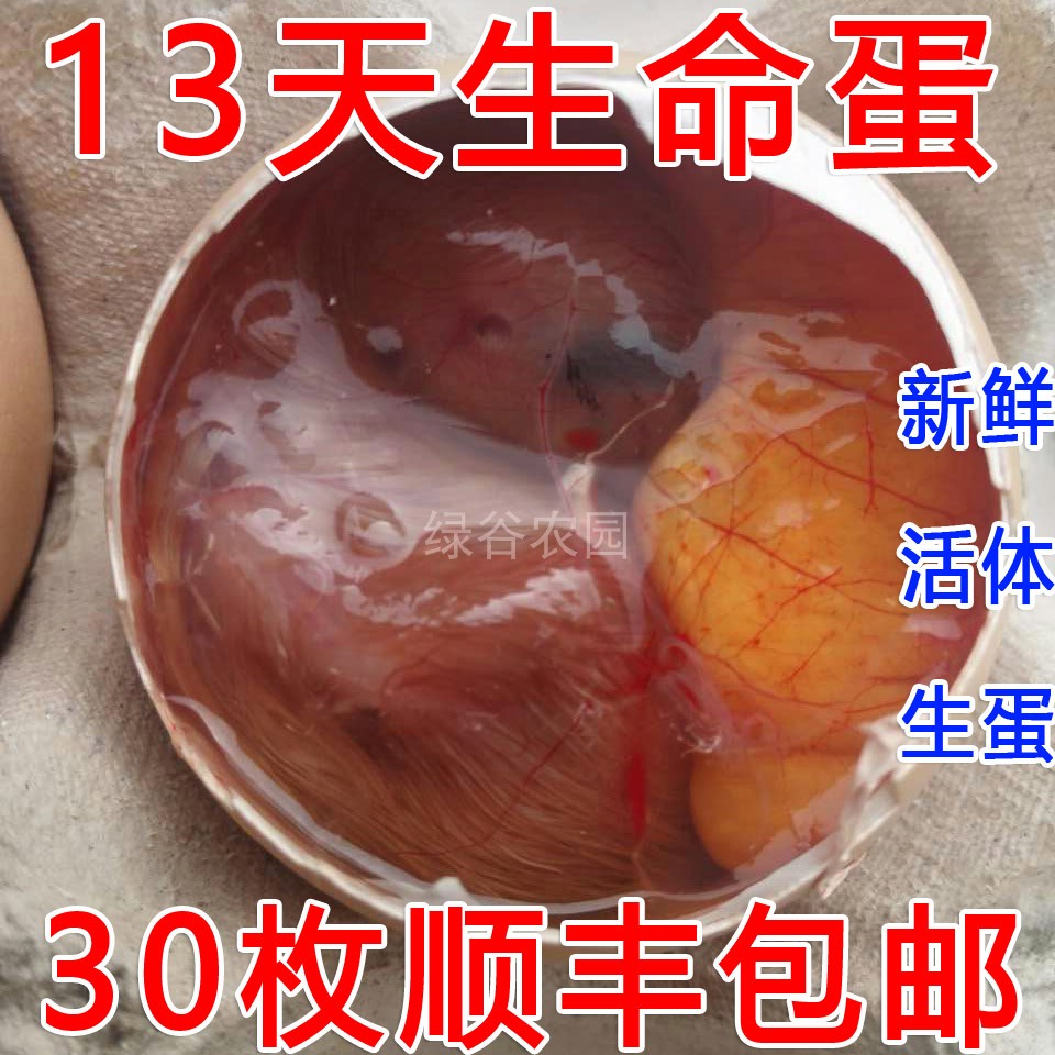 新鲜生蛋毛鸡蛋半毛蛋13-15天生命蛋活珠子鸡胚蛋30枚顺丰包邮-封面