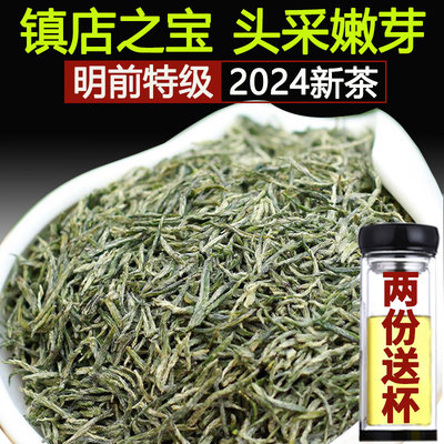 明前信阳毛尖特级2024新茶叶250g