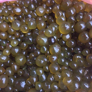 恩施野生葛仙米干鲜货湖北省鹤峰走马土特产精选小吃新品直销50g