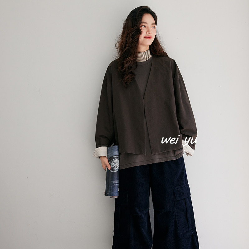 韩式V领2025秋常规长袖宽松型