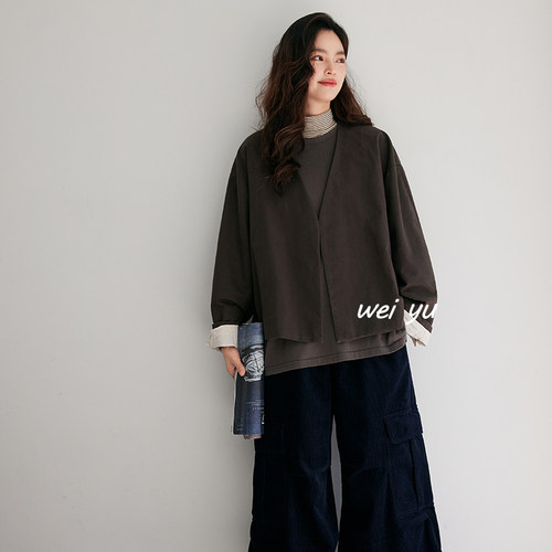 韩式V领2025秋常规长袖宽松型