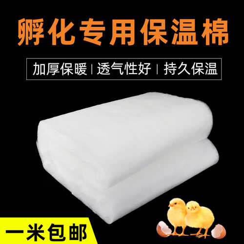 家禽自制水床保温透气孵化器