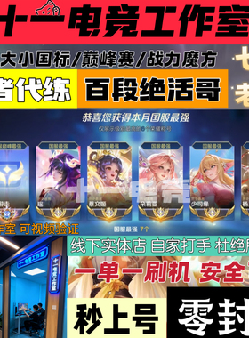 王者荣耀代打代练大小国标省标魔方巅峰赛排位战力线下上分工作室