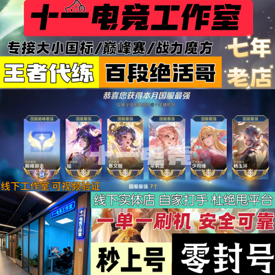 王者荣耀代打代练大小国标省标魔方巅峰赛排位战力线下上分工作室