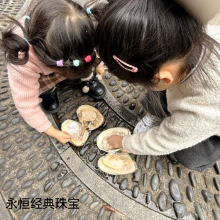 多珠蚌 天然淡水珍珠蚌壳活体爱迪生河蚌多珠自己开体验diy手工