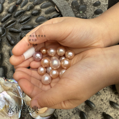 爱迪生自己开蚌取珍珠鲜活邮寄