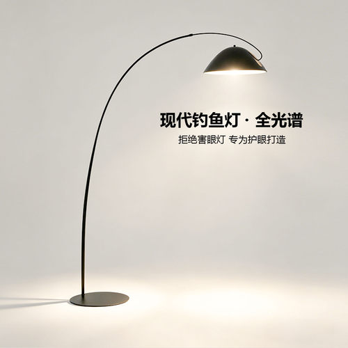 护眼灯落地灯钓鱼灯轻奢客厅灯