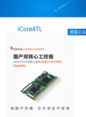 国产ARM FPGA开发板SWM32SRET6 SL2S-25E iCore4TL 银杏科技
