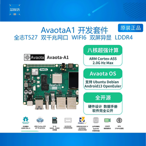 AvaotaA1开发板韦东山AI开发