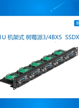 1U Rackmount for Raspberry Pi, SSD Bracket for Any 2.5