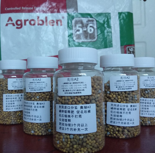 分装250g