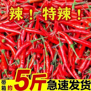 小米辣椒新鲜特辣朝天商用农家自种新鲜蔬菜小米椒批发5斤红椒指