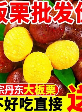 2025新货云南新鲜板栗新鲜野生板栗当季现摘新下树粉糯农家板栗子