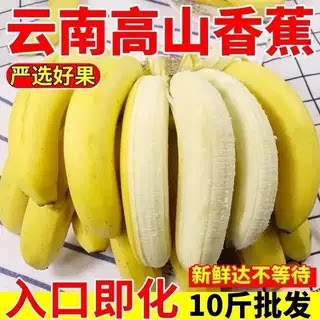 云南高山甜香蕉10斤当季新鲜水果大芭蕉小米蕉甜蕉皇帝蕉整箱包邮