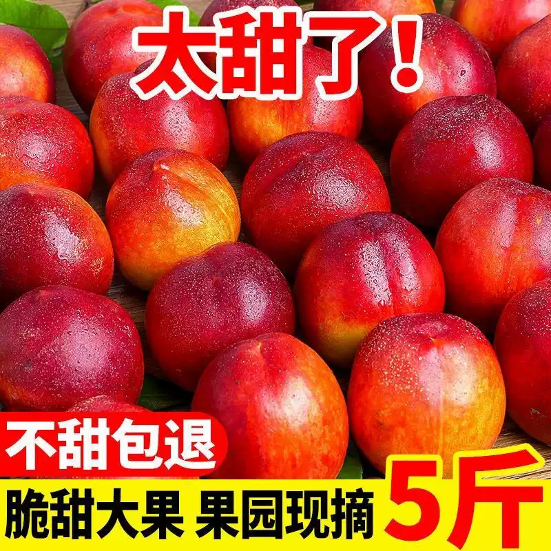【2026新果】正宗黄心油桃应季新鲜水果现摘脆桃黄肉桃子整箱批发