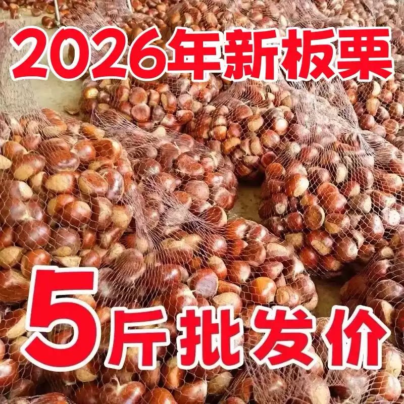 2026新鲜丹东板栗5斤鲜栗子生嫩大板粟板栗野生板票新油锥栗子9斤