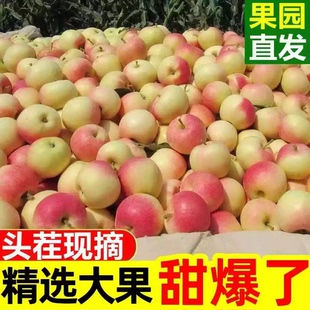 嘎啦苹果新鲜水果当季整箱10斤陕西红富士脆甜冰糖丑青小平果包邮