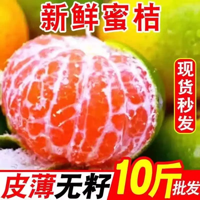 正宗云南青皮蜜橘10斤新鲜水果当季酸甜蜜桔柑橘桔子孕妇大果整箱